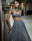 Steel Grey Mirror Work Lehenga Set