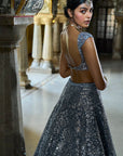 Steel Grey Mirror Work Lehenga Set