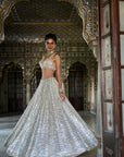 Champagne Mirror Work Lehenga Set