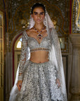 Silver Cut Work Lehenga Set