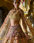 Ombre Multi-Coloured Three-Dimensional Floral Lehenga Set