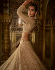 Gold Sequin Lehenga Set