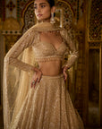 Gold Sequin Lehenga Set