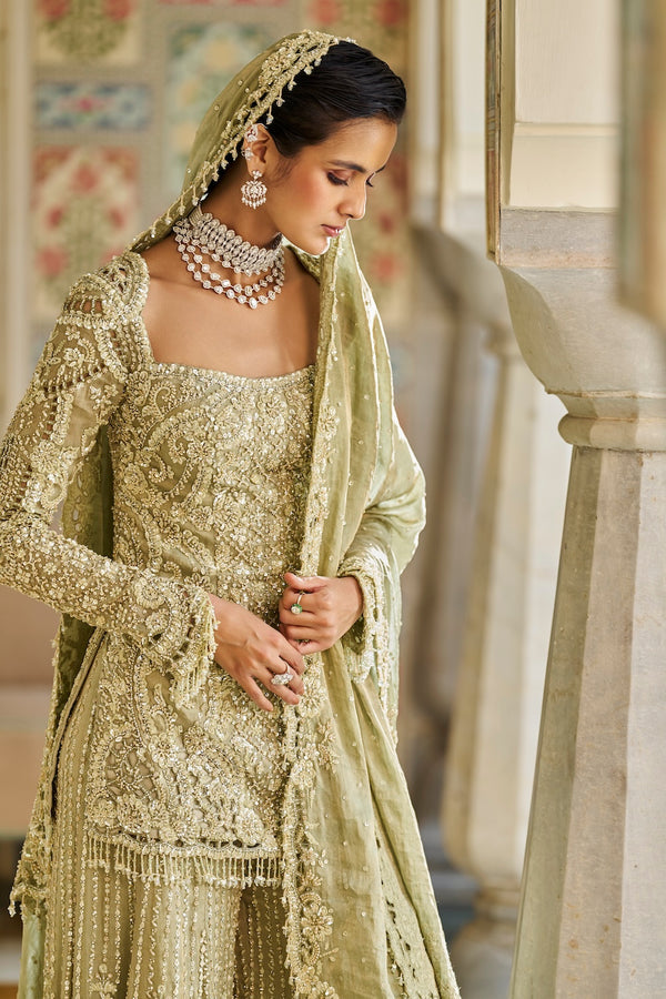 Sage Green Sharara Full