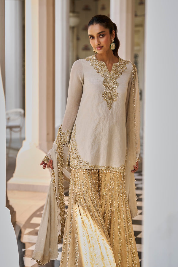 Silver Gold Sharara Set Details