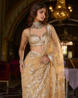 Gold Sequin Saree