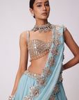 Powder Blue Organza hand Embroidered Lehenga Set