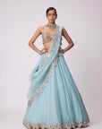 Powder Blue Organza hand Embroidered Lehenga Set