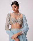 Powder Blue Mirror Embroidered Lehenga Pants set