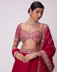 Crimson Red Organza Hand Embroidered Lehenga Set