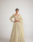 Fern Green Chandelier Pearl Drop Heavy Lehenga set