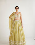 Fern Green Chandelier Pearl Drop Lehenga set