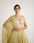 Fern Green Chandelier Pearl Drop Lehenga set