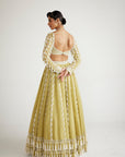 Fern Green Chandelier Pearl Drop Full Sleeve Lehenga set