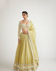 Fern Green Chandelier Pearl Drop Full Sleeve Lehenga set