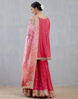 Pink Marori Work Sharara Set