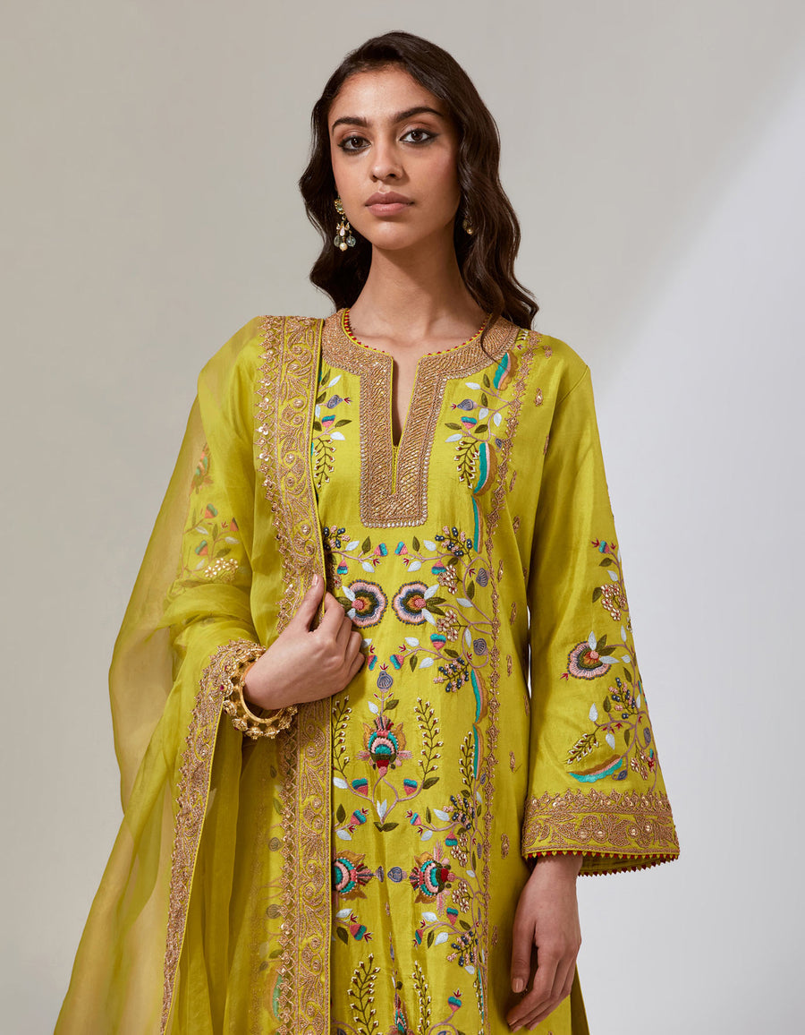 Lime Green Silk Chintz Kurta Set