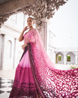 Pink to Wine Ombre Saree