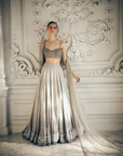 Grey Ombre Sequins Lehenga