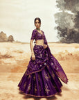 Ranisa Baingani Lehenga set