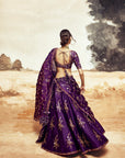 Ranisa Baingani Lehenga set