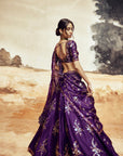 Ranisa Baingani Lehenga set