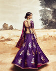 Ranisa Baingani Lehenga set