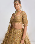 Gold Three-Dimensional Jewel Lehenga Set