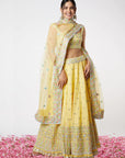 Noor Strappy Lehenga Set